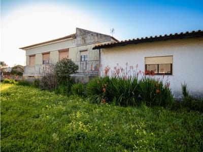/international/pt/arazede-coimbra-310107491156/