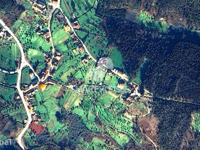 /international/pt/sao-martinho-da-cortica-coimbra-310101080303/