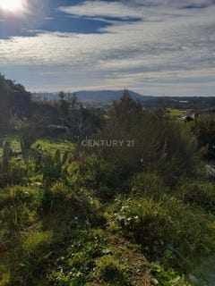 /international/pt/penedos-anha-viana-do-castelo-310106934466/