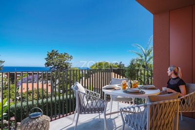 /international/pt/funchal-madeira-310108862564/?lang=zh-cn