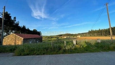 /international/pt/vale-da-ramila-enxames-porto-310105250766/