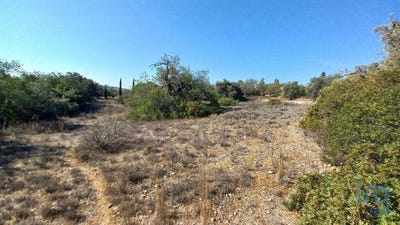 /international/pt/loule-sao-clemente-faro-310101183578/