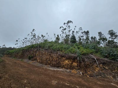 /international/pt/santa-cruz-madeira-120092264066/