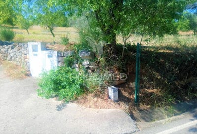 /international/pt/santo-estevao-tavira-faro-120077372473/