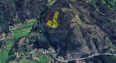 /international/pt/r-boucainhas-66-portugal-monte-cordova-porto-310108429368/