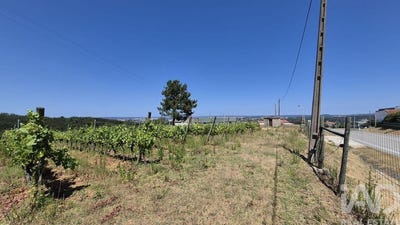 /international/pt/leiria-leiria-310104002682/