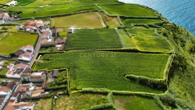 /international/pt/rua-direita-achadinha-portugal-ilha-de-sao-miguel-azores-310108592135/