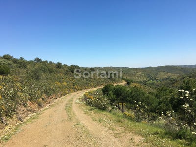/international/pt/alcoutim-faro-310107216623/