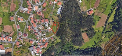 /international/pt/oliveira-de-azemeis-aveiro-310105405153/