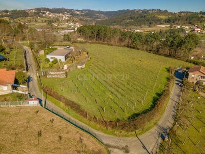 /international/pt/casteloes-porto-310101353178/