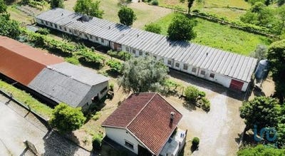 /international/pt/valenca-viana-do-castelo-120094207733/