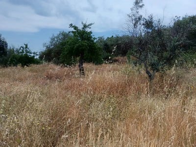 /international/pt/vchj-87-salgueiro-do-campo-portugal-salgueiro-do-campo-castelo-branco-310105250124/