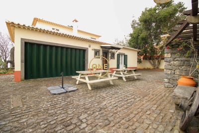 /international/pt/canhas-madeira-310108210869/