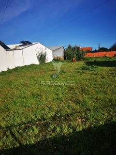 /international/pt/aradas-aveiro-aveiro-120081127443/