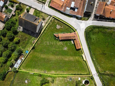 /international/pt/arazede-coimbra-310101160338/?lang=zh-cn