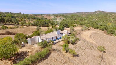 /international/pt/sao-francisco-da-serra-santiago-do-cacem-setubal-municipality-310102956189/