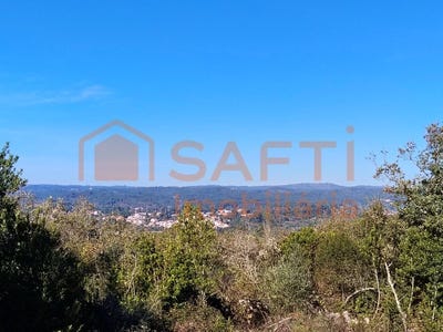 /international/pt/ansiao-leiria-310103764281/