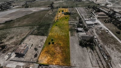/international/pt/rua-catarina-eufemia-2985-213-pegoes-portugal-pegoes-setubal-municipality-310108042513/
