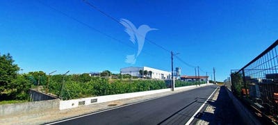 /international/pt/alagoa-portalegre-portalegre-310100365153/