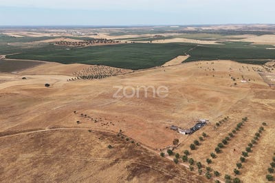 /international/pt/aljustrel-beja-310102231149/