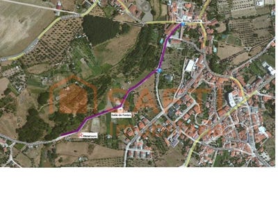 /international/pt/canas-de-senhorim-viseu-310100485533/