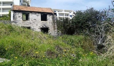 /international/pt/santa-cruz-setubal-municipality-120086466792/