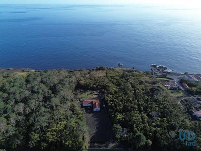 /international/pt/ilha-do-pico-azores-310108482615/