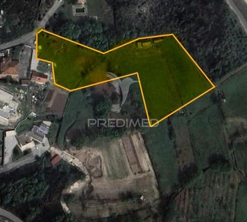 /international/pt/antime-e-silvares-sao-clemente-fafe-braga-310106390377/