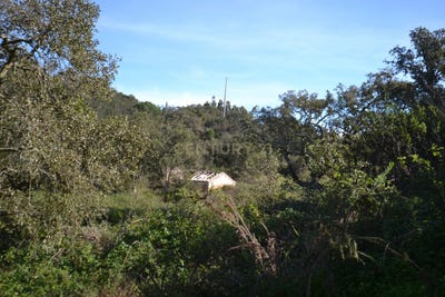 /international/pt/barranquinha-cercal-setubal-municipality-310105943678/