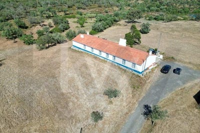 /international/pt/sao-francisco-da-serra-setubal-municipality-310101156605/