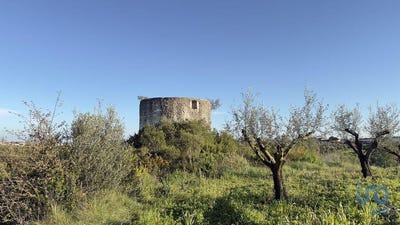 /international/pt/santarem-santarem-310098577236/