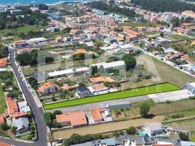 /international/pt/madalena-madeira-310103456328/