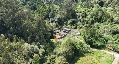 /international/pt/ilha-da-madeira-madeira-310104189279/