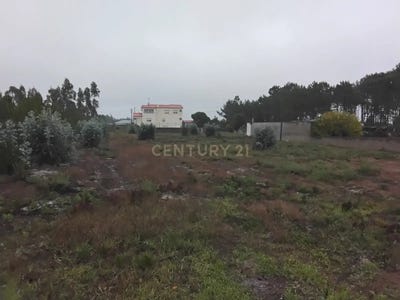 /international/pt/rua-central-guia-portugal-guia-leiria-310108831819/?lang=pt
