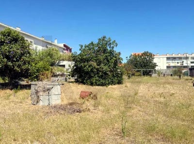 /international/pt/lisboa-lisbon-310104287101/