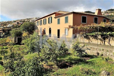 /international/pt/gaula-madeira-310106236552/