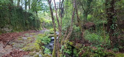 /international/pt/vale-ruivaes-portugal-ruivaes-e-campos-braga-310105187505/