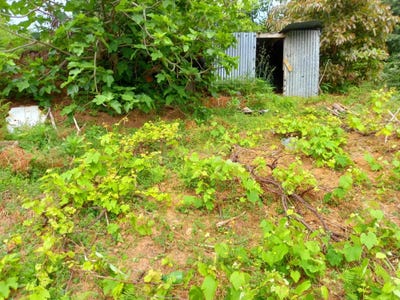 /international/pt/sitio-do-serrado-ilha-da-madeira-madeira-310105105895/