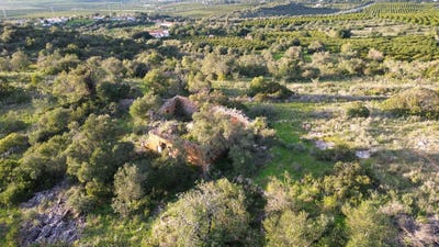 /international/pt/silves-faro-310106261728/