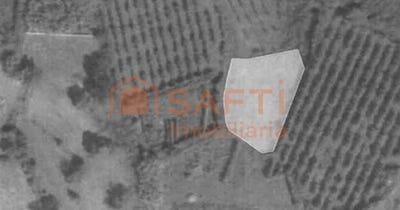/international/pt/alvaredo-viana-do-castelo-310100492242/