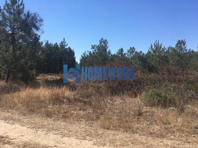 /international/pt/quinta-do-anjo-setubal-municipality-310104246045/