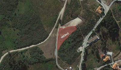 /international/pt/grilo-porto-310101354336/?lang=zh-cn