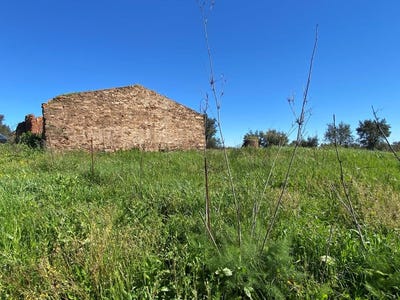 /international/pt/vila-verde-de-ficalho-beja-310099573588/