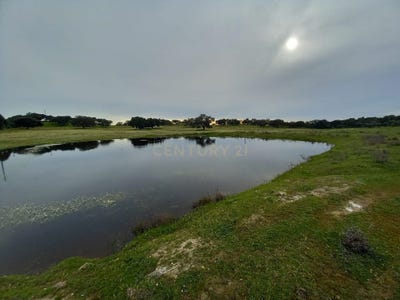 /international/pt/zebreira-e-segura-castelo-branco-district-310094664552/