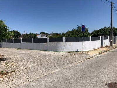 /international/pt/fernao-ferro-setubal-municipality-310100672143/