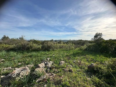 /international/pt/altofica-querenca-faro-310105185347/