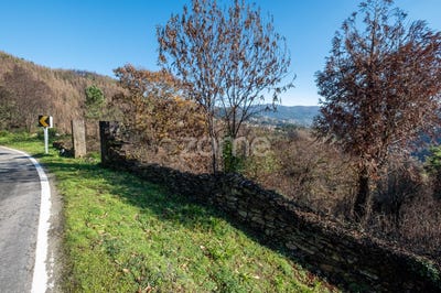 /international/pt/cinfaes-viseu-310107671331/