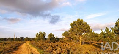 /international/pt/faro-faro-310102512819/