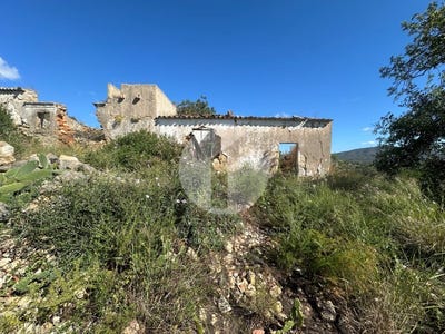 /international/pt/quelfes-faro-310109147769/?lang=de