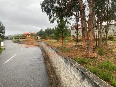 /international/pt/bela-lisbon-310103089968/